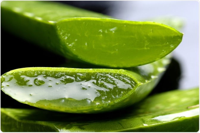 Sliced aloe vera leaf. Image Credit: Crystalfoto / Shutterstock